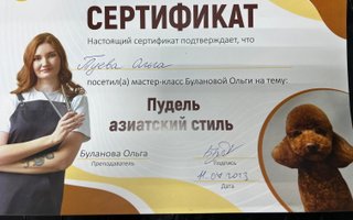 сертификат/документ ветеринара Ольги Туевой