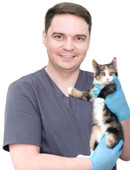 Дорохов Виктор Викторович