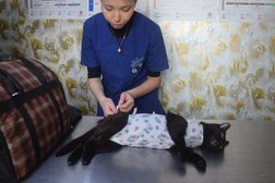 Ветеринарная клиника Новая, с рейтингом 4.4 - находится по адресу Саратов, улица им. Орджоникидзе Г.К., 13/2 