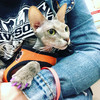 фото от пользователя Вера в отзыве о зооцентре Эйс Вентура на улице Академика Виноградова, 1к1