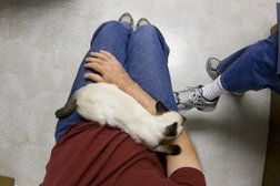 Ветеринарная клиника Айболит+, с рейтингом 2 - находится по адресу Омск, Заозёрная улица, 21 