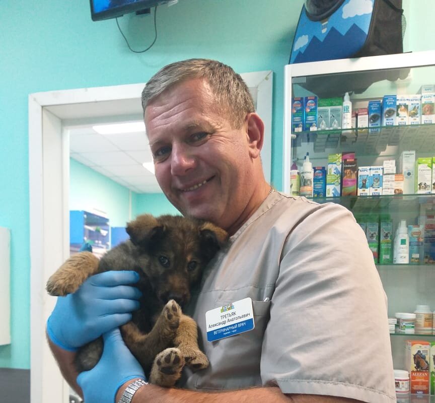 Василек в солнцево парке. Производственная улица, 10к1. Производственная улица солнцево. Василек в солнцево парке. Василек в солнцево парке.