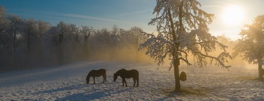 Топ-10 самых холодных городов России
