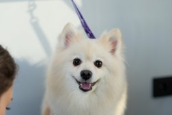 Груминг-студия Fluffy, с рейтингом 4.5 - находится по адресу Москва, Ильменский проезд, 14 к1 