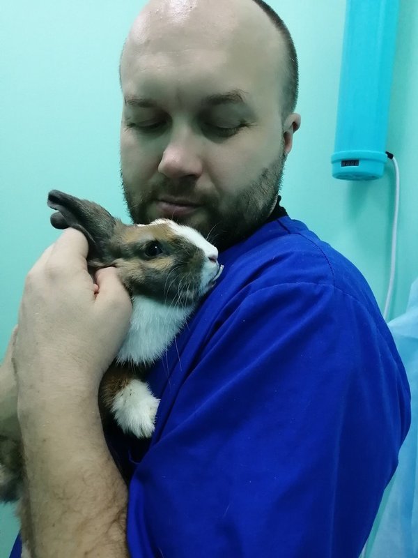 Домодедово Ветклиника