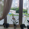 фото от пользователя Женечка Мысливцева в отзыве о торгово-производственной фирме Окна бэст