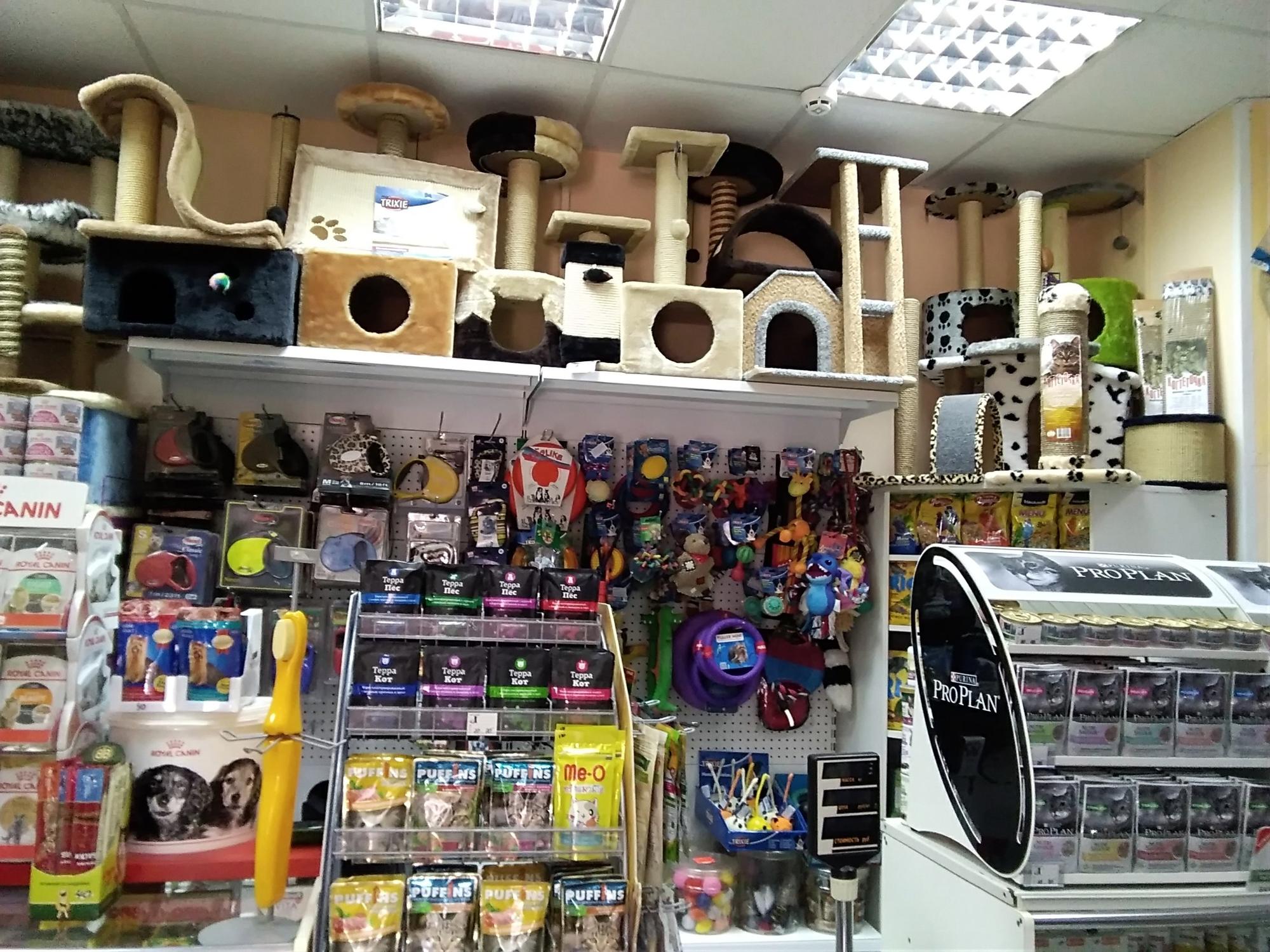 кот и пес тамбов. магазин кот и пес. зоомагазин для детей. кот и пёс зоомагазин. тамбовский центральный рынок, тамбов зоомагазин.