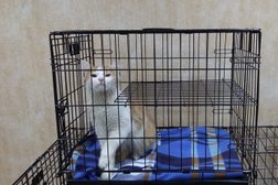 Ветеринарная клиника Афина, с рейтингом 2.7 - находится по адресу Волгоград, проспект им. В.И. Ленина, 87 