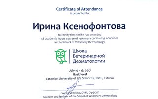 сертификат/документ ветеринара Ирины Владимировны Ефремова (Ксенофонтова)