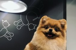 Груминг-салон Barberdog, с рейтингом 3.6 - находится по адресу Республика Татарстан, Казань, Комсомольская улица, 1 