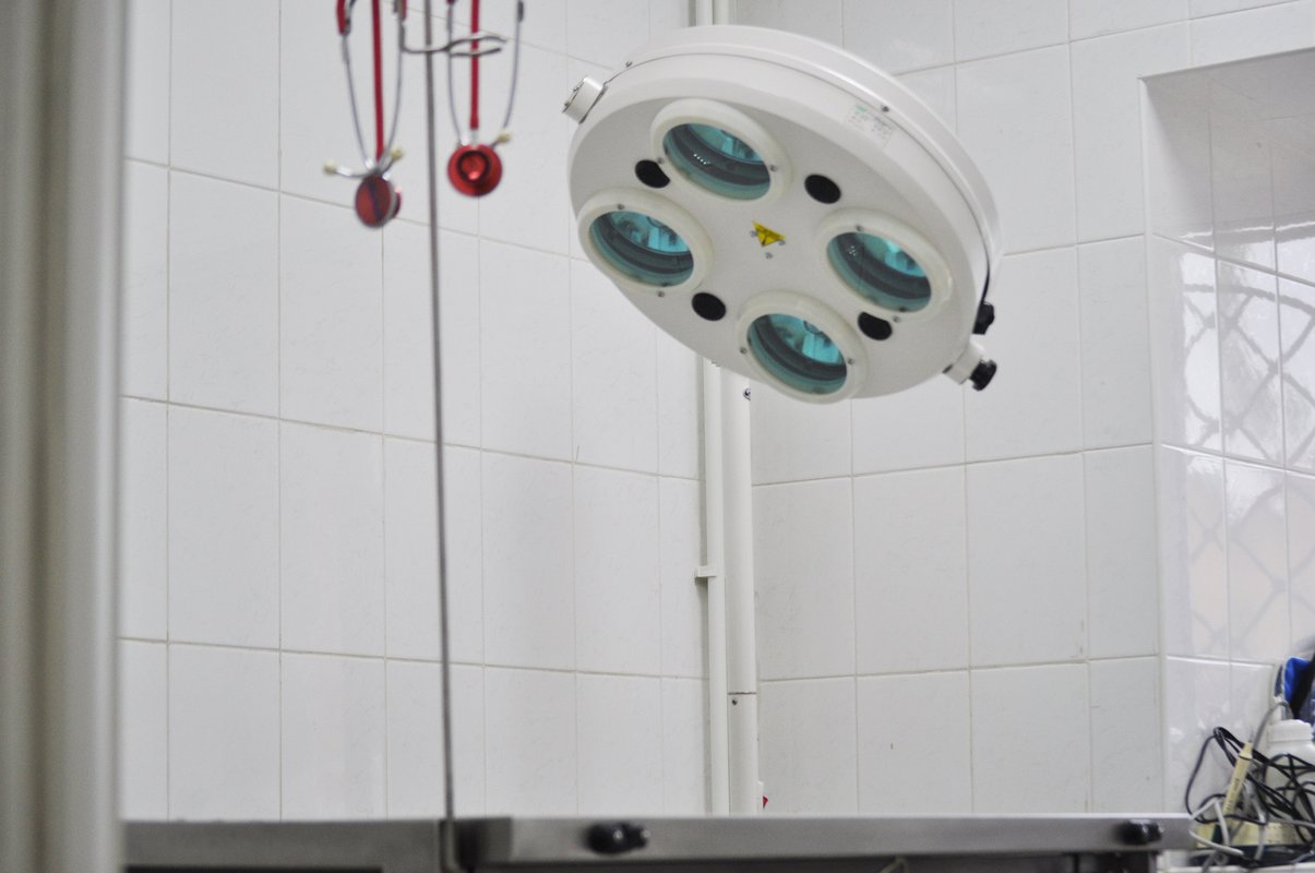 Феникс, ветеринарный центр на Вокзальной улице в Петушках, Владимир ...