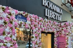 Салон цветов Botanika, с рейтингом 5 - находится по адресу Калуга, улица Кирова, 36 