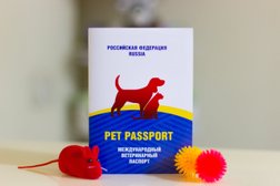 Ветеринарная клиника Акуна Матата, с рейтингом 3 - находится по адресу Новосибирск, улица Дуси Ковальчук, 238 