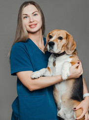 Ветеринарный хирург, ветеринар Софья Юрьевна Богачева