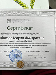 Ветеринар, ветеринарный врач УЗИ Мария Дмитриевна Рыбакова