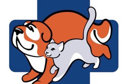 Ветеринарная клиника Ветеринарная служба №1, с рейтингом 4.7 - находится по адресу Санкт-Петербург, Ленинский проспект, 106 к3 