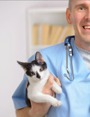 Исюков Алексей Евгеньевич