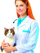 Лайко Елена Павловна