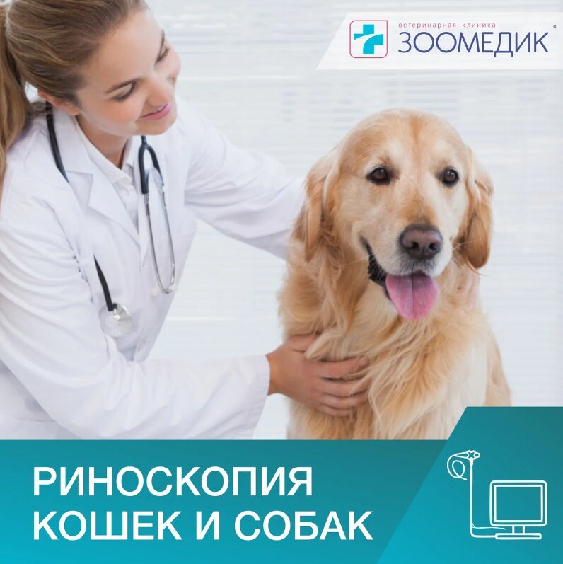 фотография Ветеринарной клиники Зоомедик на улице Борисовские Пруды