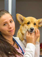 Ветеринар, ветеринарный анестезиолог-реаниматолог Татьяна Николаевна Глухих