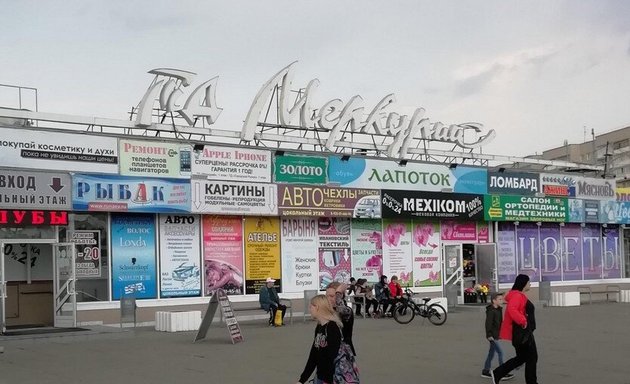 Алиса просп циолковского 71 фото