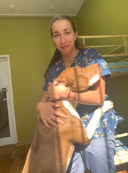 Ветеринарный врач-офтальмолог Яна Олеговна Кривенко