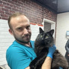 фото от пользователя Эла М в отзыве о ветеринарной клинике Zoohospital на улице Верхние Поля