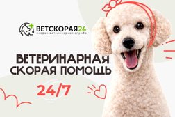 Ветеринарная служба ВетСкорая24, с рейтингом 4.9 - находится по адресу Московская область, Лобня, Промышленная улица, 1А 