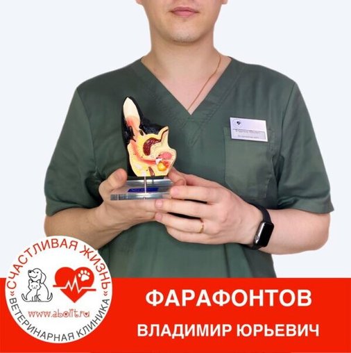 Владимир Юрьевич Фарафонтов