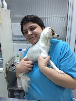 ветеринар на дом. Close up shot animal.