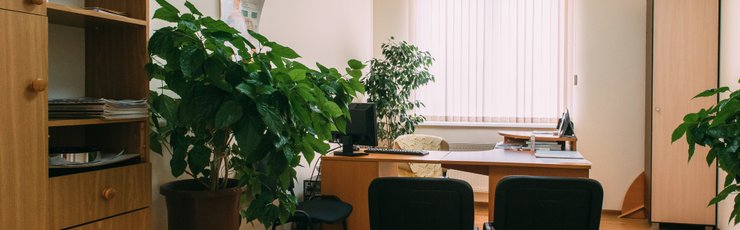 Йота в минеральных водах