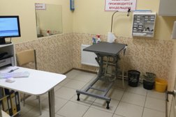 Ветеринарная клиника Живая планета, с рейтингом 3.3 - находится по адресу Санкт-Петербург, Вилеровский переулок, 6 