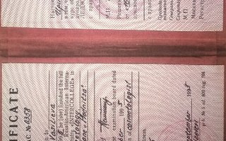 сертификат/документ специалиста по красоте Ирины Елькиной