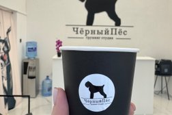 Зоопарикмахерская ЧерныйПес, с рейтингом 5 - находится по адресу Москва, Открытое шоссе, 30 