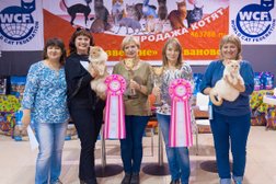 Клуб любителей кошек Созвездие, с рейтингом 2.9 - находится по адресу Иваново, Богдана Хмельницкого, 54 