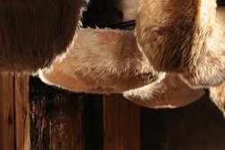 Ресторан MANUL, с рейтингом 4.8 - находится по адресу Москва, Тверской район, 103265, улица Охотный Ряд, 2 