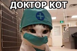 Ветеринарная клиника Ваш доктор, с рейтингом 2.4 - находится по адресу Чувашская Республика, Новочебоксарск, Южная улица, 10 