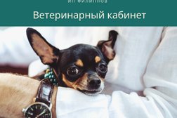 Ветеринарный кабинет на улице Маяковского в Киржаче, с рейтингом 3.1 - находится по адресу Владимирская область, Киржач, улица Маяковского, 25 