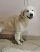 Харионовская Наталия