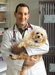 Ветеринарный врач УЗИ, ветеринар Алексей Эдуардович Петров