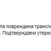 фото от пользователя ЕЛЕНА 164 в отзыве о службе доставки GTS