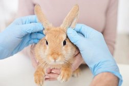 Выездная ветеринарная клиника Зоомир, с рейтингом 5 - находится по адресу Саратов, улица Блинова, 35 