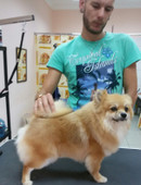 Адамкович Валерий Владимирович