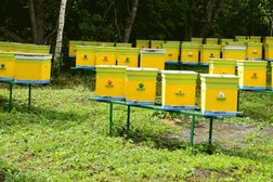Пчеловодческие Магазины Калуга Время Работы