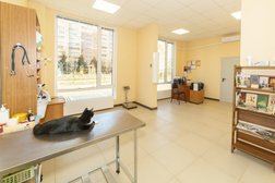 Ветеринарная клиника Феникс, с рейтингом 4.9 - находится по адресу Калуга, улица Спартака, 15 