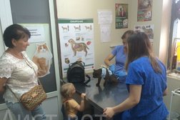 Ветеринарная клиника Аист-вет, с рейтингом 3.5 - находится по адресу Московская область, Одинцово, улица Чистяковой, 8 