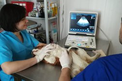 Ветеринарная клиника Vetclinica7.ru, с рейтингом 3 - находится по адресу Московская область, Люберцы, Октябрьский проспект, 293/301 