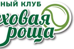 Теннисный клуб Ореховая роща, с рейтингом 3 - находится по адресу Ростовская область, пос. Темерницкий, Московская улица, 38 