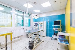 Ветеринарная клиника Айболит Плюс, с рейтингом 3.8 - находится по адресу Москва, Пятницкое шоссе, 15к3 