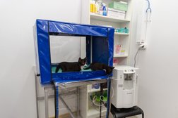 Ветеринарная клиника Берта, с рейтингом 4.4 - находится по адресу Калужская область, Обнинск, проспект Маркса, 56 